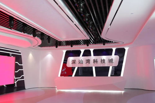 匠心鑄就品質 中裝建設打造城市展覽精品，助力塑造特色城市文化（施工篇）